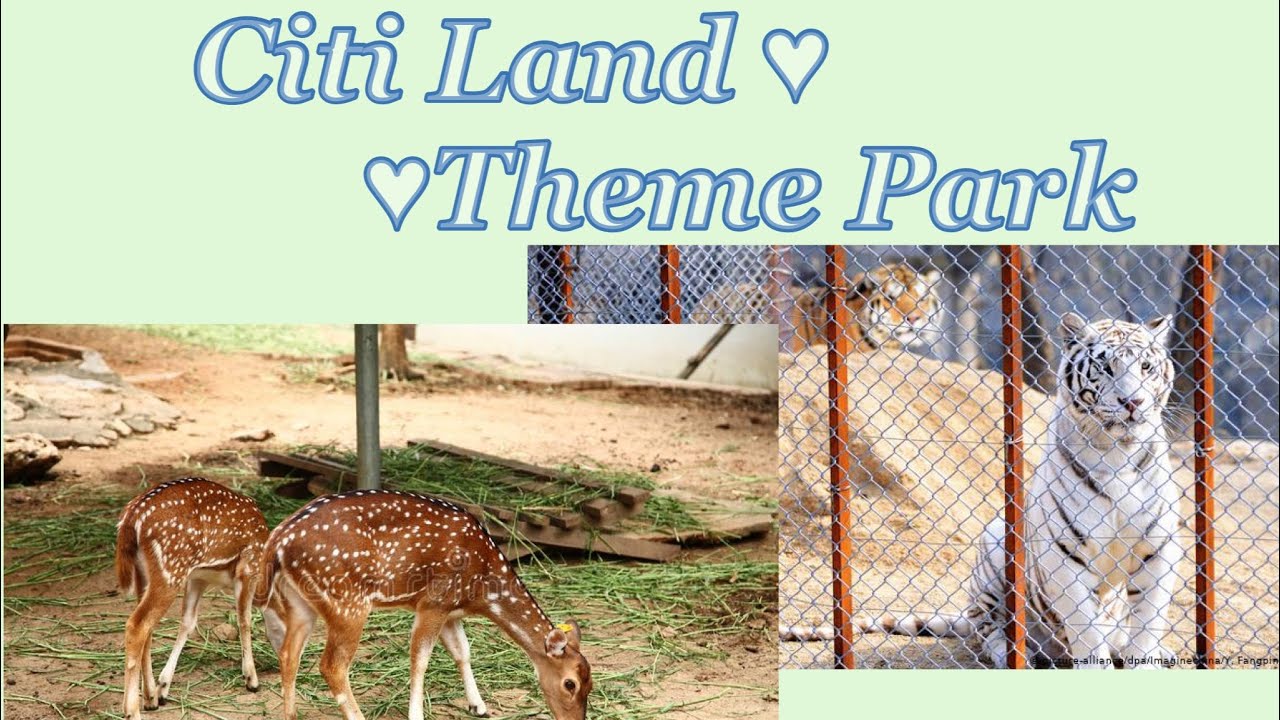 Citi Land Theme Park