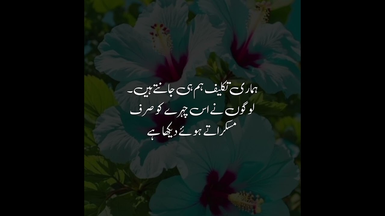 Best Urdu Quotes | Urdu Islamic Quotes | Best Quotes About Life | Motivational Quotes