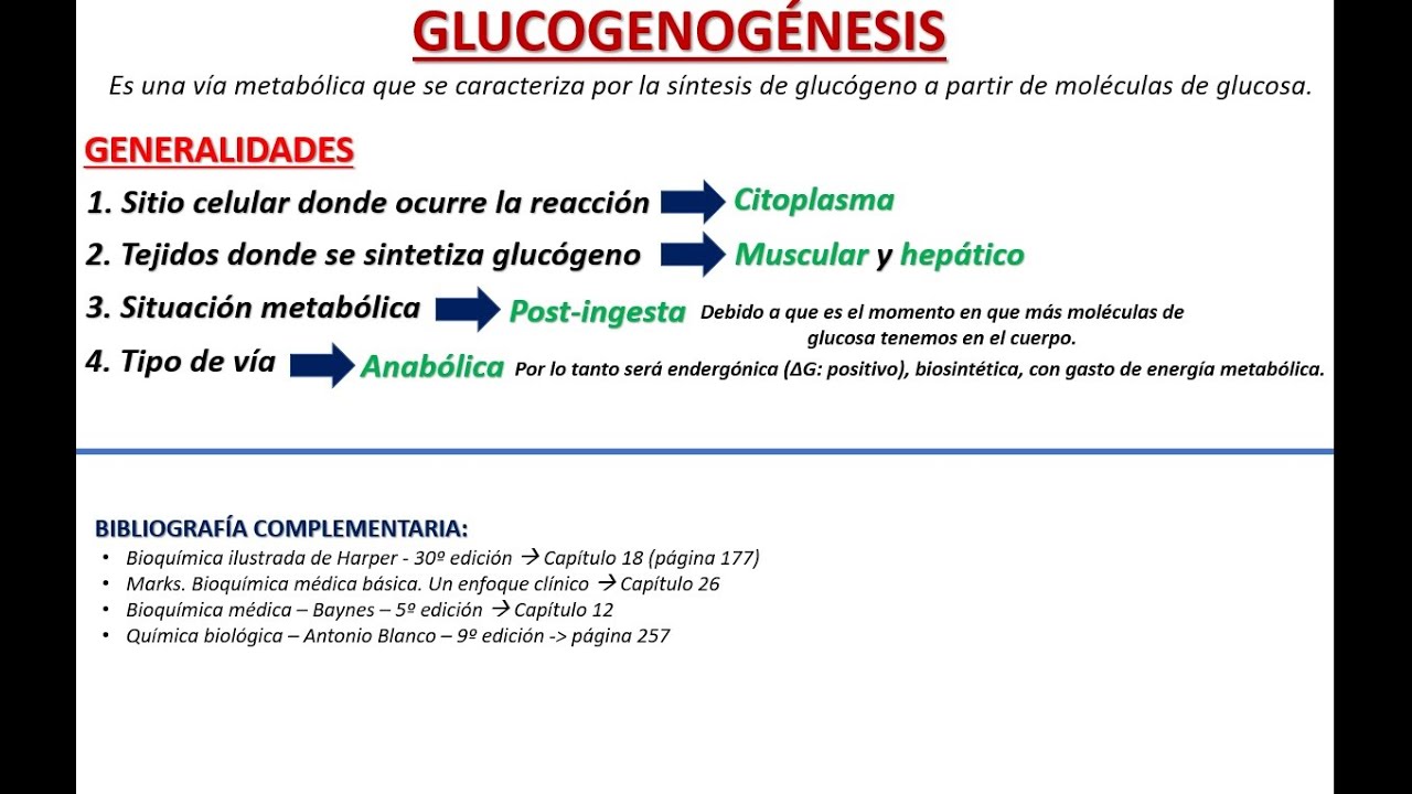 GLUCOGENOGÉNESIS COMPLETO.