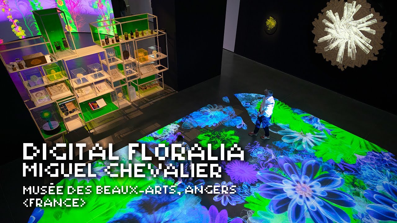 Miguel Chevalier - Digital Floralia - Musée des Beaux Arts d'Angers