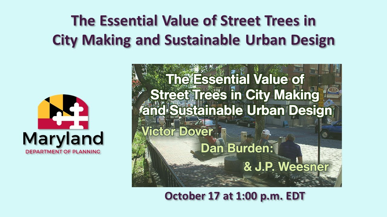 The Essential Value of Street Trees in City Making and Sustainable Urban Design