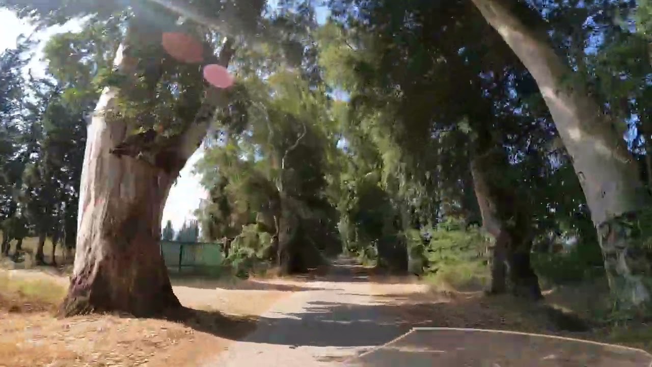Akyaka