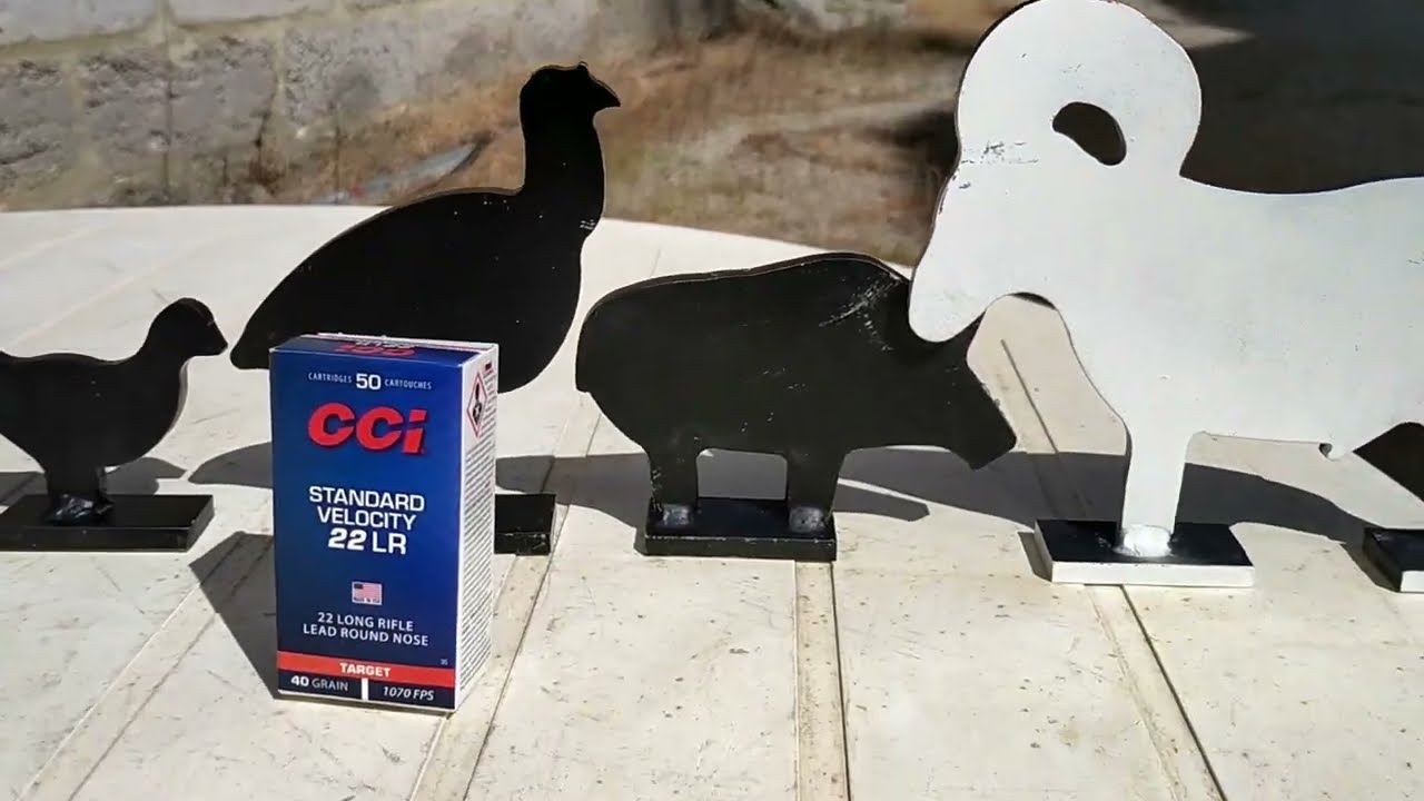 22lr rifle shoot, metallic silhouette targets