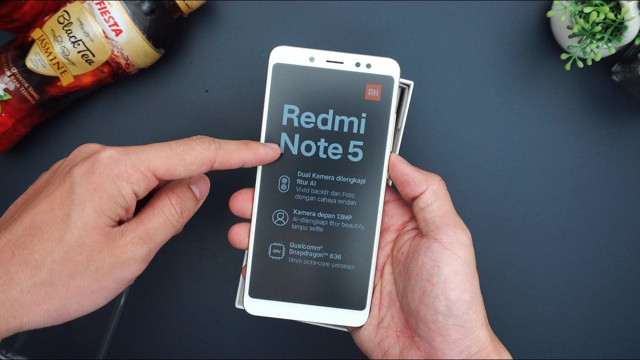 RP2.999 JUTA!!! Unboxing Xiaomi Redmi Note 5 Garansi Resmi!