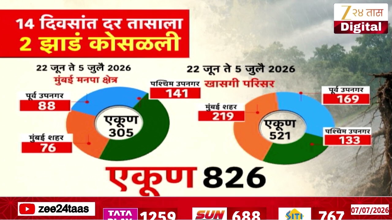 Mumbai Tree Collapse | मुंबईत  2 आठवड्यात 826 झाडं कोसळल्याच्या घटना | Zee24Taas