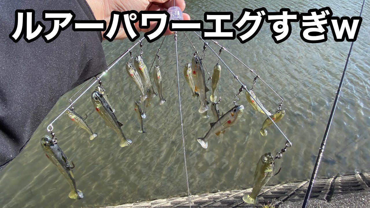 【総額15000円】このアラバマ、食われすぎて泣いた