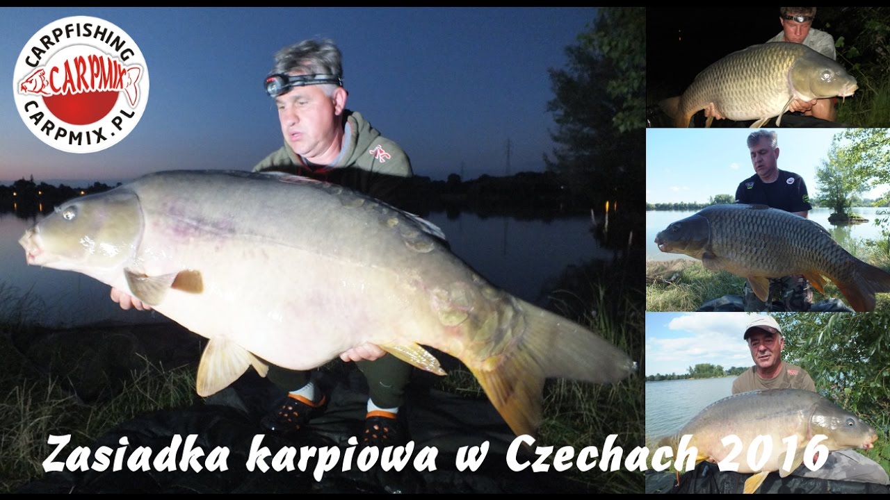 Zasiadka karpiowa Czechy 2016 - CARPMIX.PL | Carp fishing in Czech Republic 2016