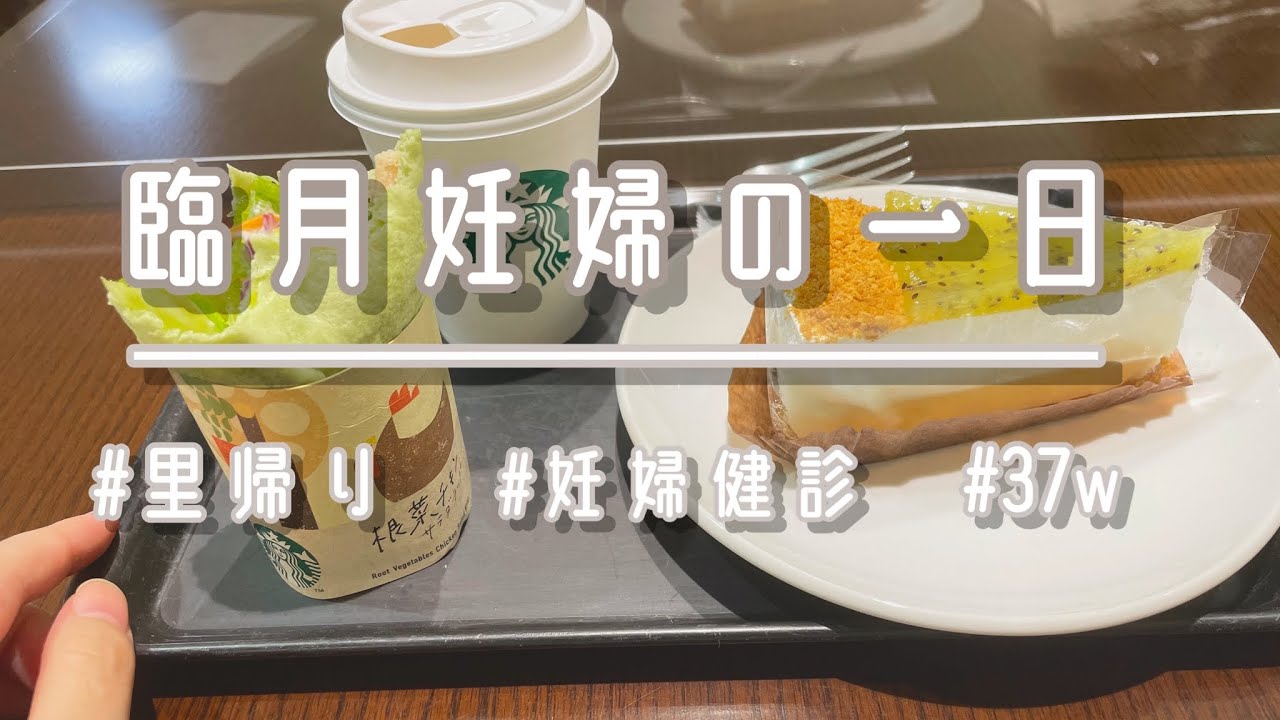 【Vlog】臨月の過ごし方〜妊婦健診の日〜