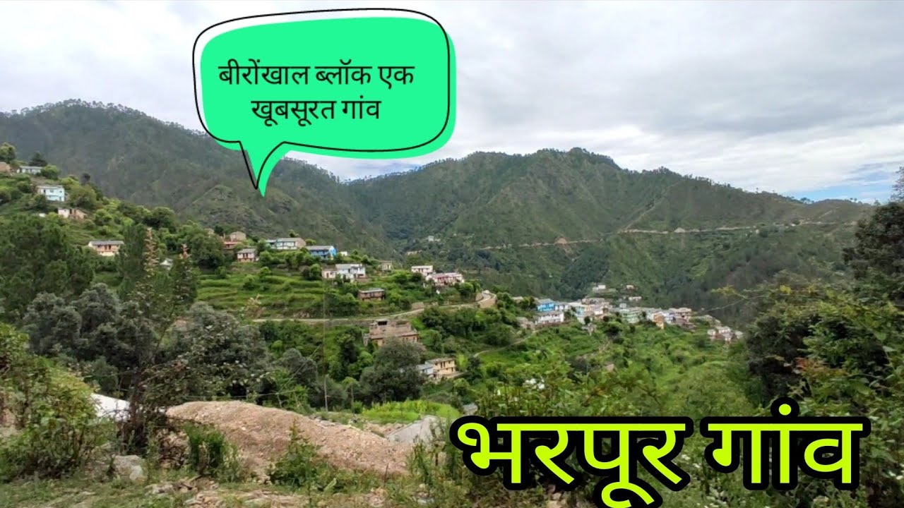 भरपूर बड़ा बीरोंखाल | 3 दोस्तो का स्वरोजगार | Uttarakhand Village Tour | Pahadi Lifestyle | Negi uk12