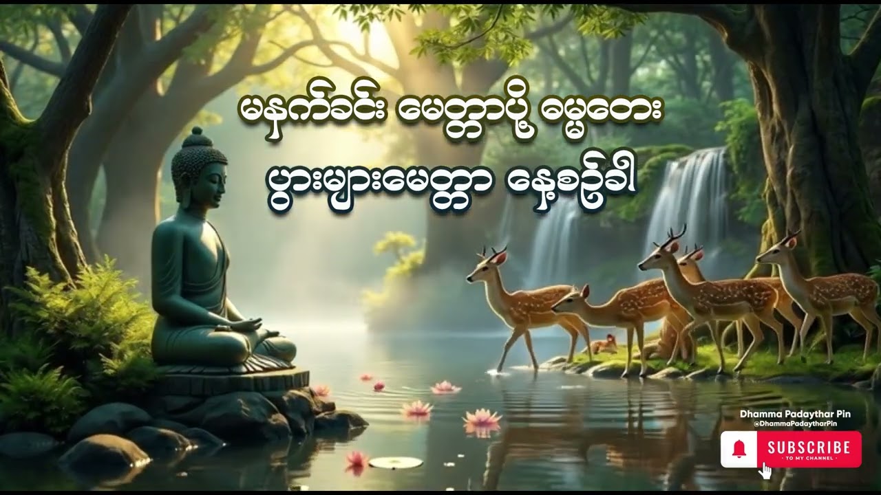 မနက်ခင်း မေတ္တာပို့ ဓမ္မတေး  Dhamma Padaythar Pinဓမ္မပဒေသာပင်