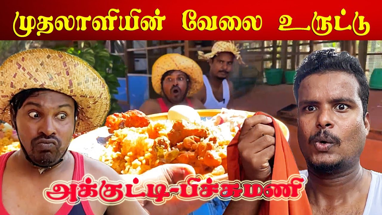 யாழின் அதிசய பிறவிகள் | அக்குட்டி பிச்சுமணி அதிர்ச்சி காணொளி | Akkuddiyum pichumaniyum #jaffna