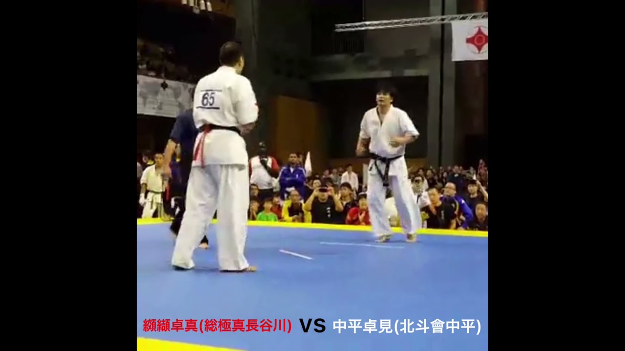2016.10.23 第1回総極真世界大会準決勝 中平卓見vs纐纈卓真