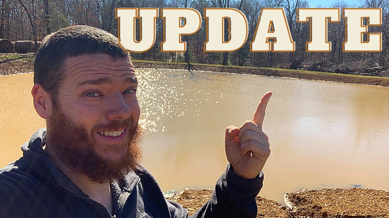 Pond, Cattle, Chicken, Plant Cutting & Geothermal UPDATE | January 2021