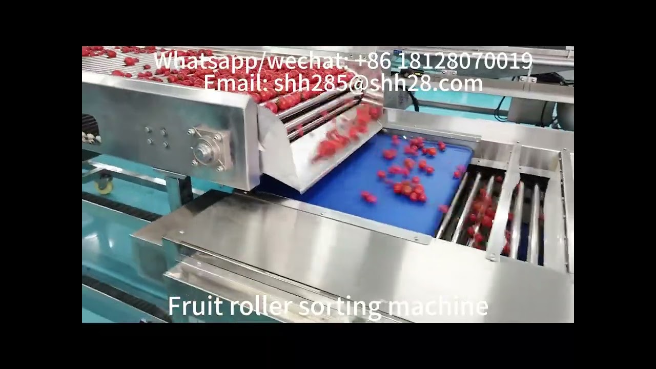 Fruit roller sorting machine cherry tomato grading equipment longan sorting machine fruit sorter