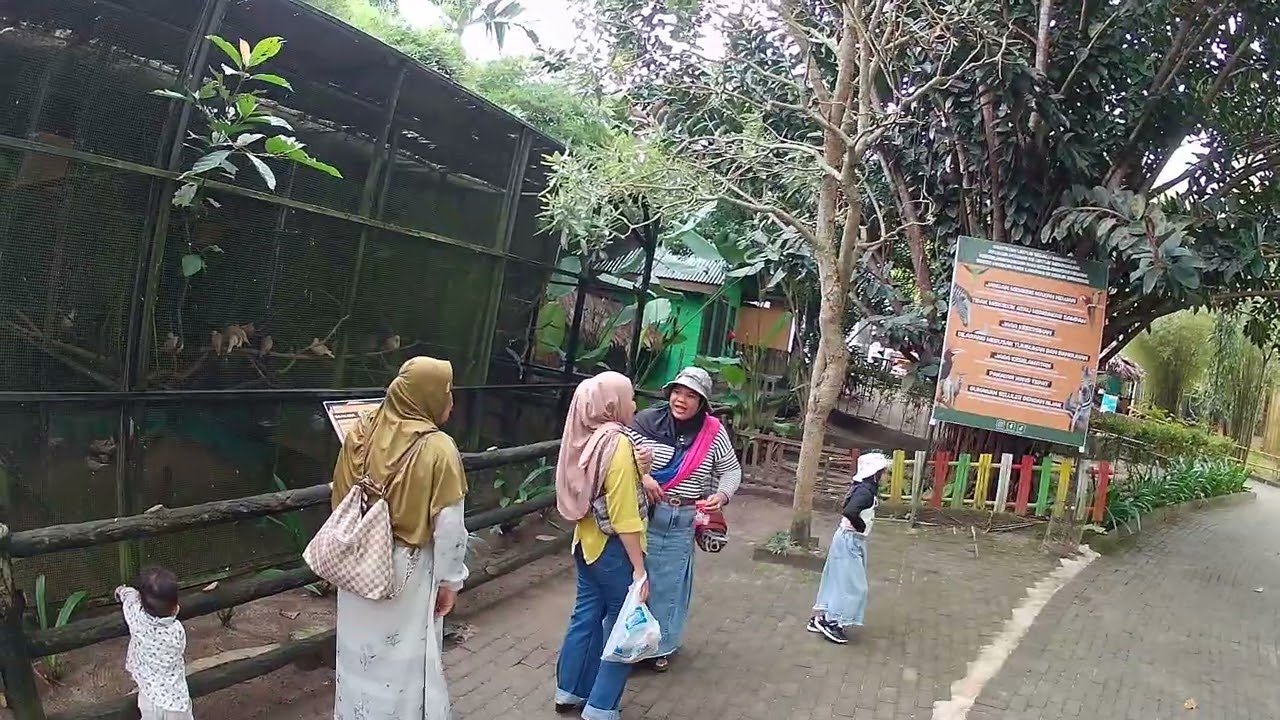 KAKAK LARA DAN ADEK OSHI JALAN JALAN KE KEBUN BINATANG R ZOO PART 1