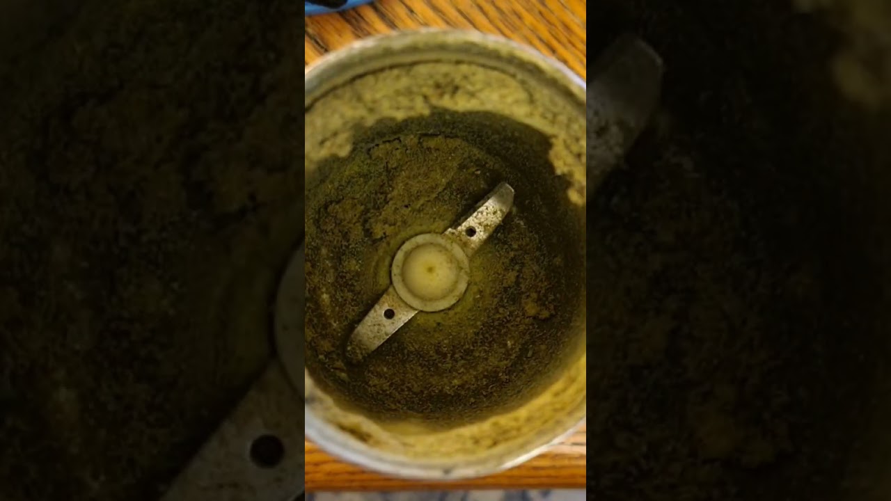 Creating Cannabis Kief (cotton candy) #satisfying #marijuana #cannabiseducation