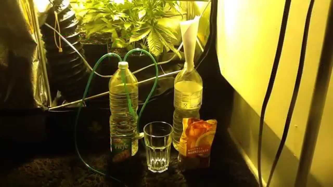 How to make CO2 for your grow room / CO2 Selbstgemacht
