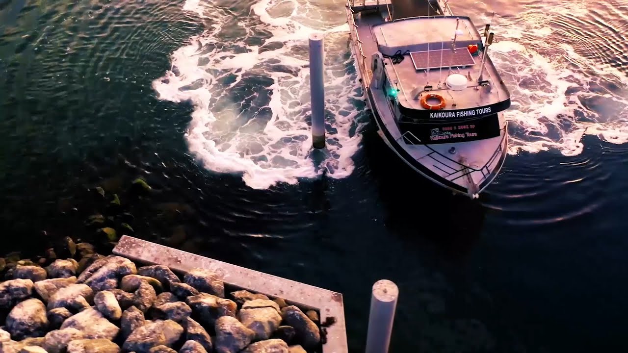 Kaikoura Fishing Tours 2022