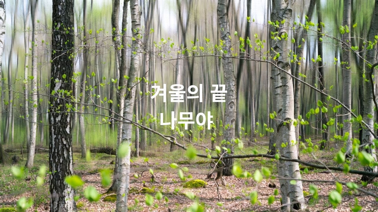 겨울의 끝 #잔잔한노래#혼자걷는음악#감성음악#힐링음악#카페에서듣기좋은 음악#새벽감성#산책음악#위로가되는노래#미니멀음악#감성팝#한국인디음악#싱어송라이터#자작곡