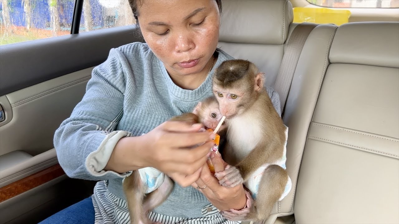 Mom Feeding Milk In Care On The Way Back Home Katy & Emma