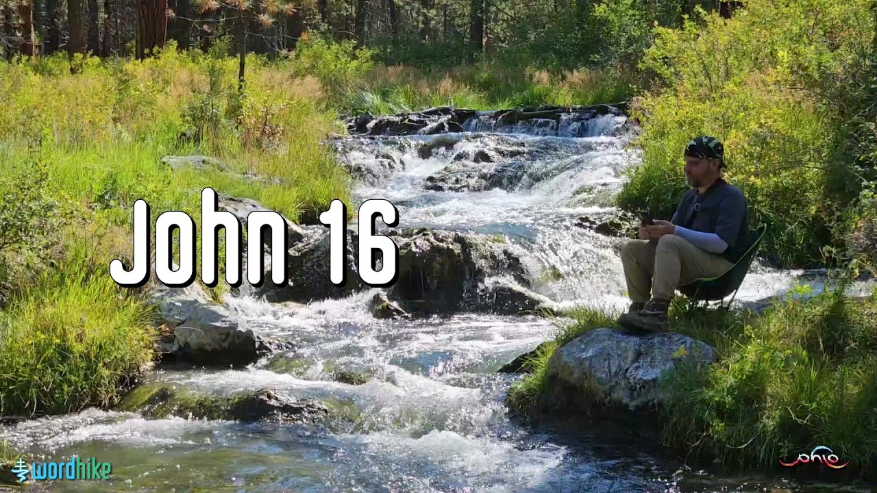 John 16, Bible Reading in Nature, BSB