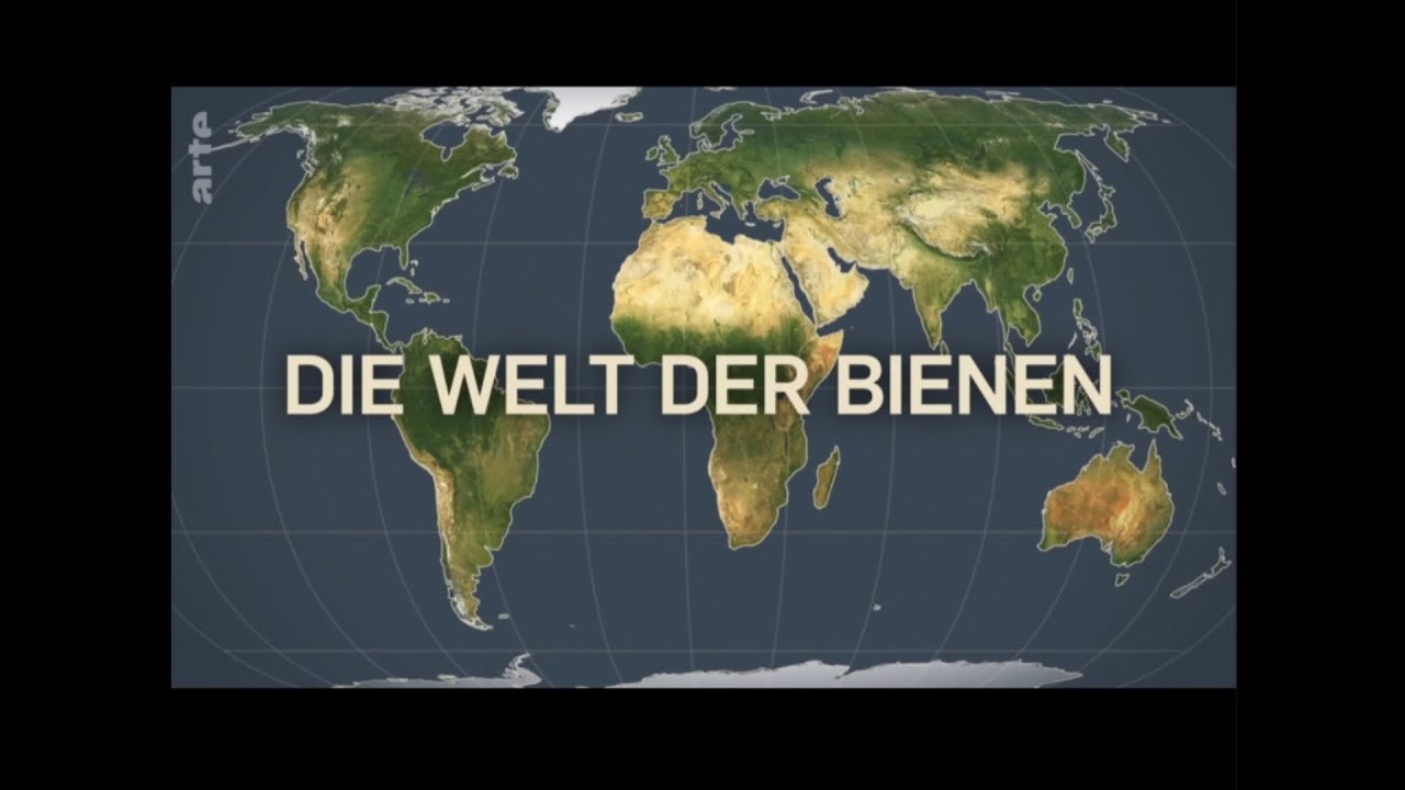 Mit offenen Karten - Die Welt der Bienen