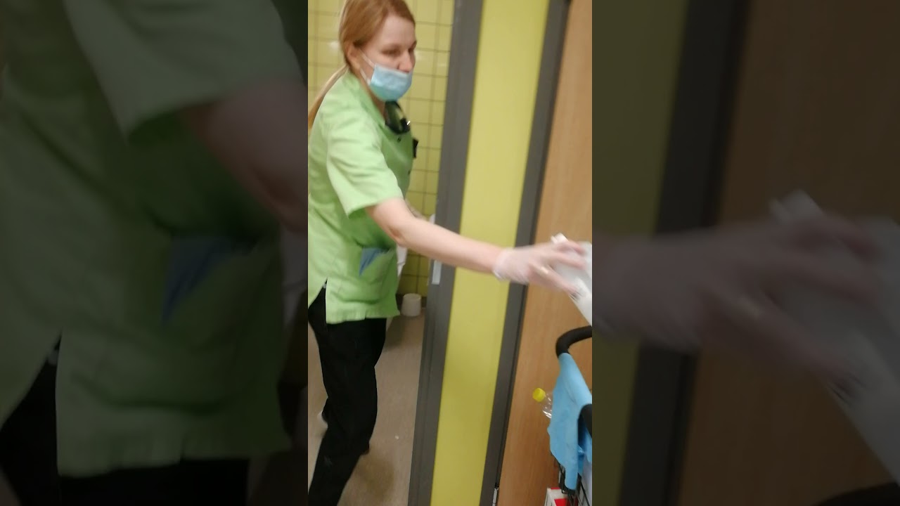 Marina Gurkova. Wc:n ylläpitösiivous