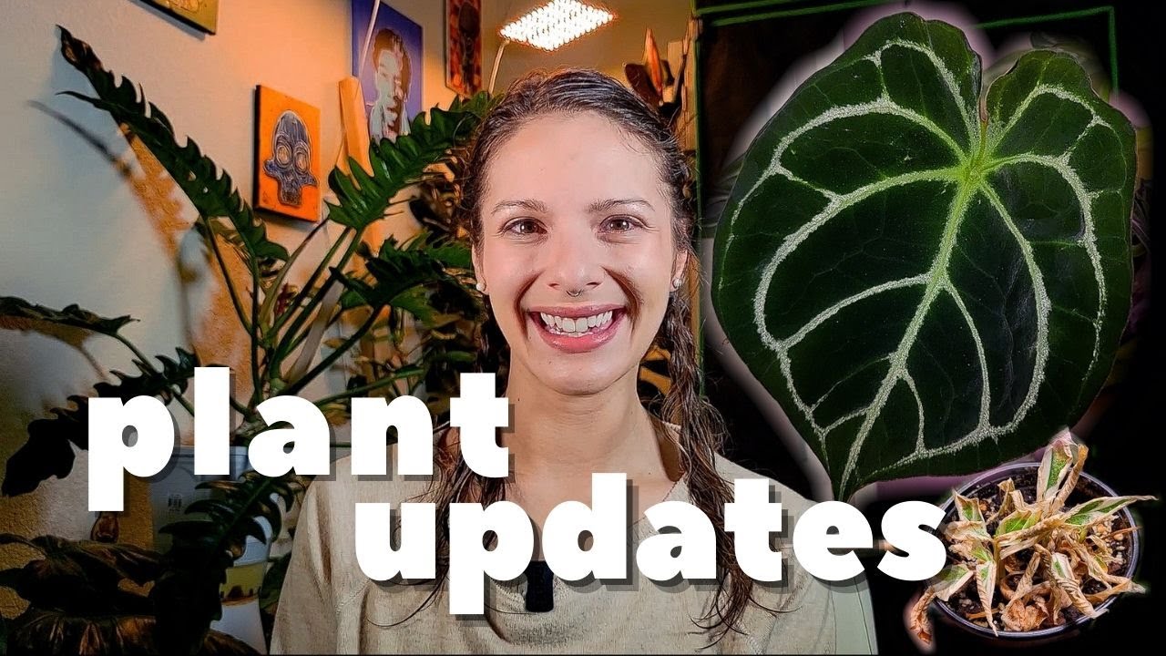 Plant Updates After a Week Away | post-vaca plant check ✅
