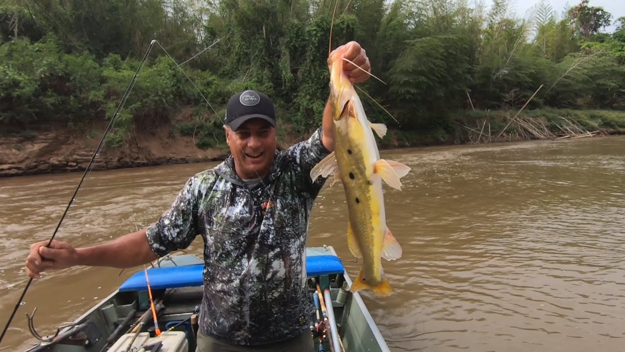 PRIMEIRA VEZ QUE PEGO ESSE PEIXE ASSIM