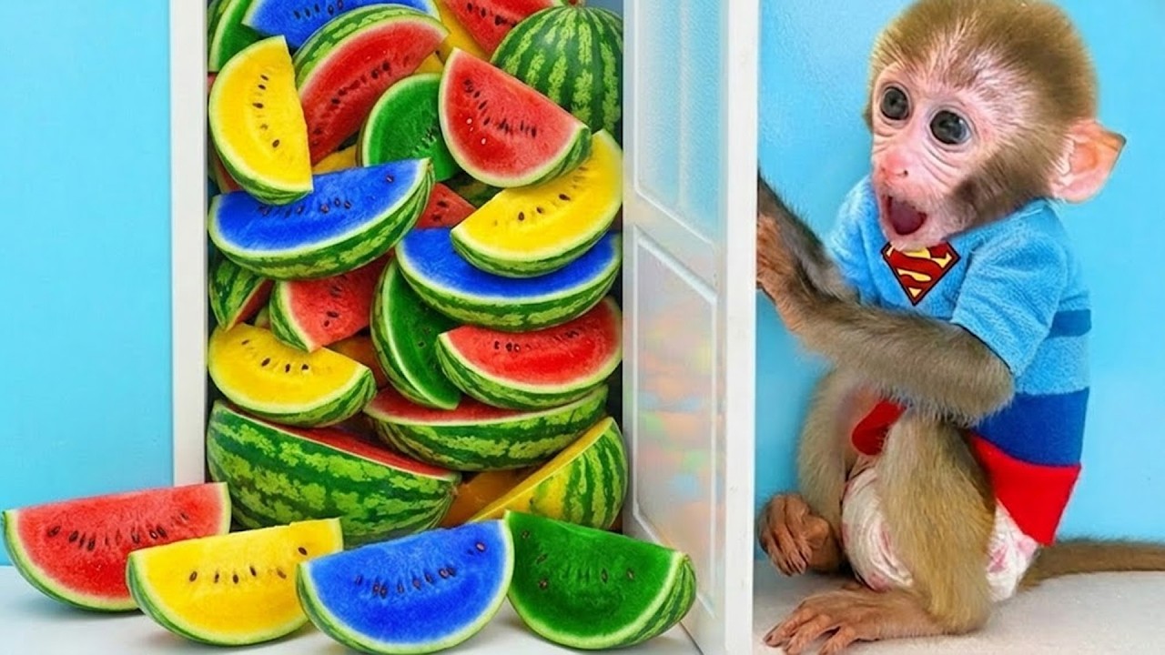 Малыш БонБон в шоке от радужных арбузов🍉 | Bonbon и друзья