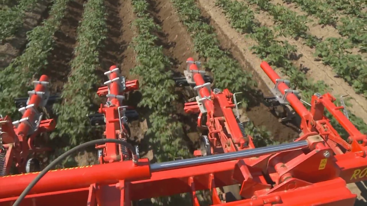 Rollsternhackgerät | Rollstar cultivator | bineuse à étoiles EINBÖCK ROLLSTAR