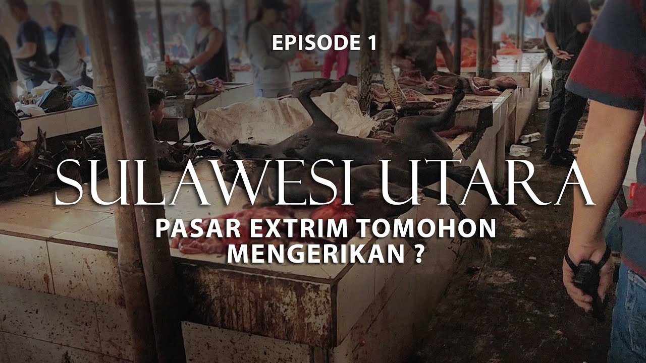 SULAWESI - Eps.1 | Nyobain Belanja di Pasar Extrim Tomohon dan Melihat Penyulingan Cap Tikus !!!