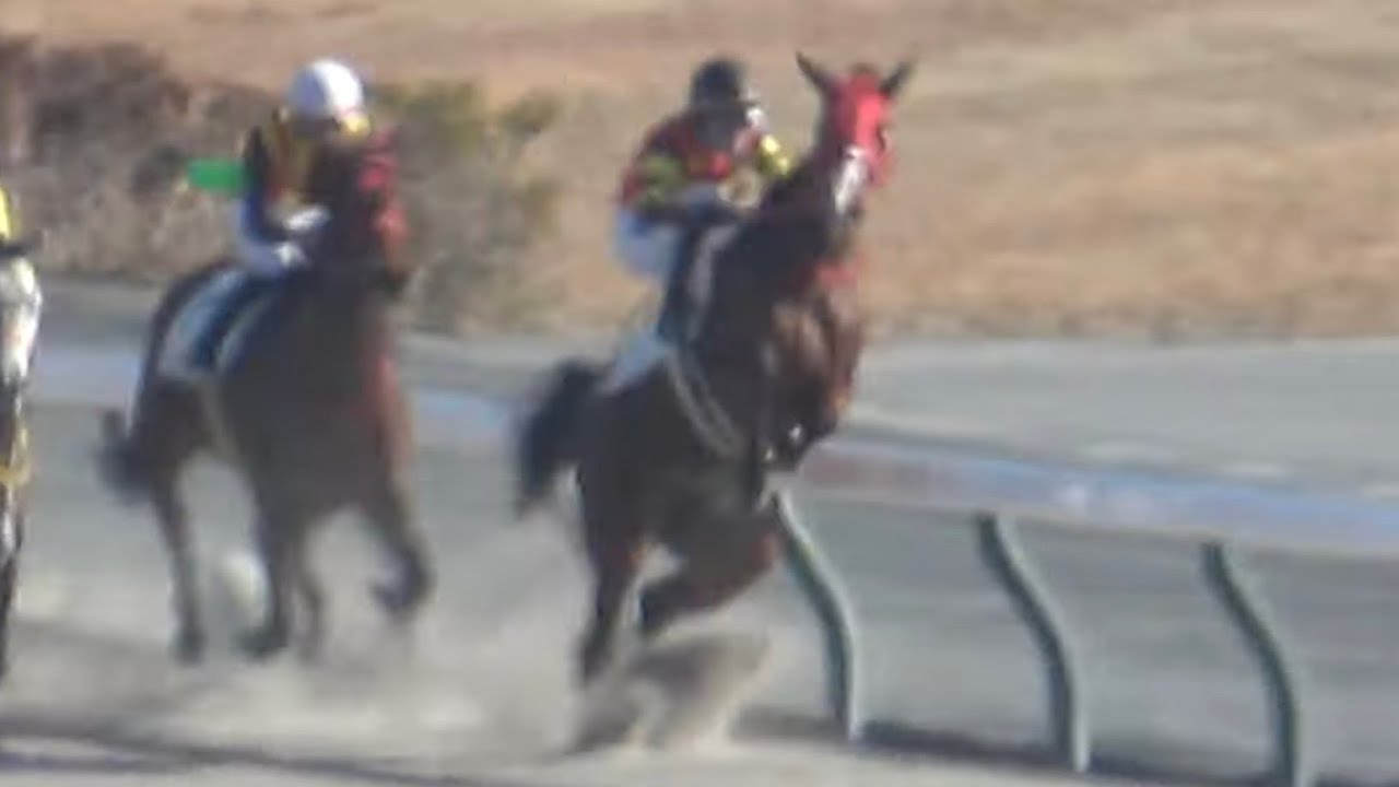 【競馬ハプニング】④レイバックスピンもA.ルメートルも凄い‼ 内ラチにぶつかりバランスを崩すも最後まで走り切る 現地映像