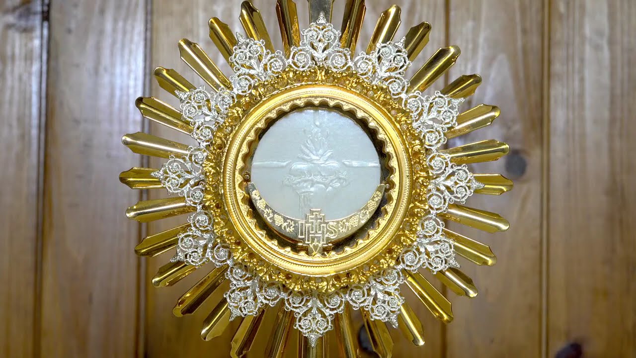 Adoración Eucarística en silencio. Una hora con el Señor expuesto 🙏 ¡Jesús Tú eres mi Luz!