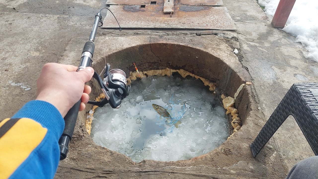 Pește mare în puț
