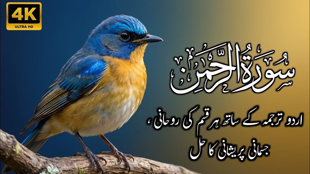 Surah Rahman With Urdu Translation | Surah Rahman Ki Tilawat Tarjuma Ke Sath | Ep 22