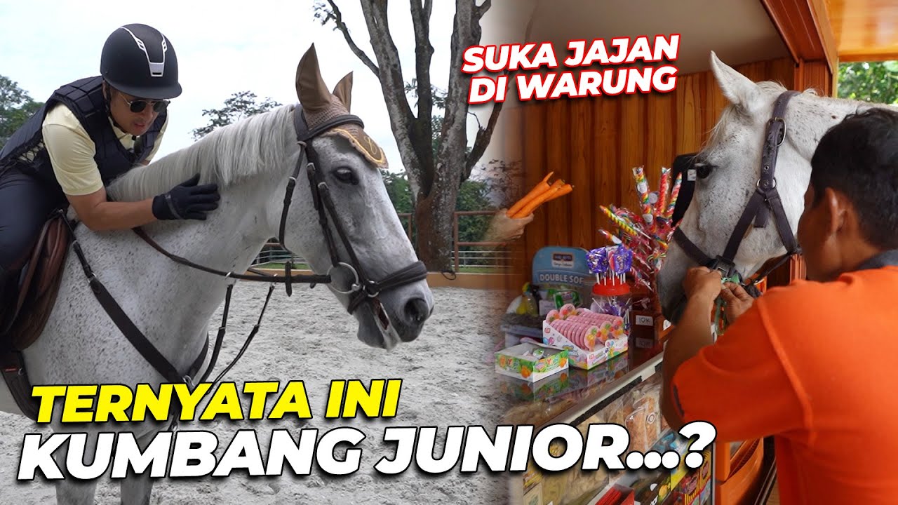 INI DIA PENGGANTI KUDA KESAYANGAN GW SPIRIT KUMBANG..! BENTUKNYA MIRIP BANGET😢