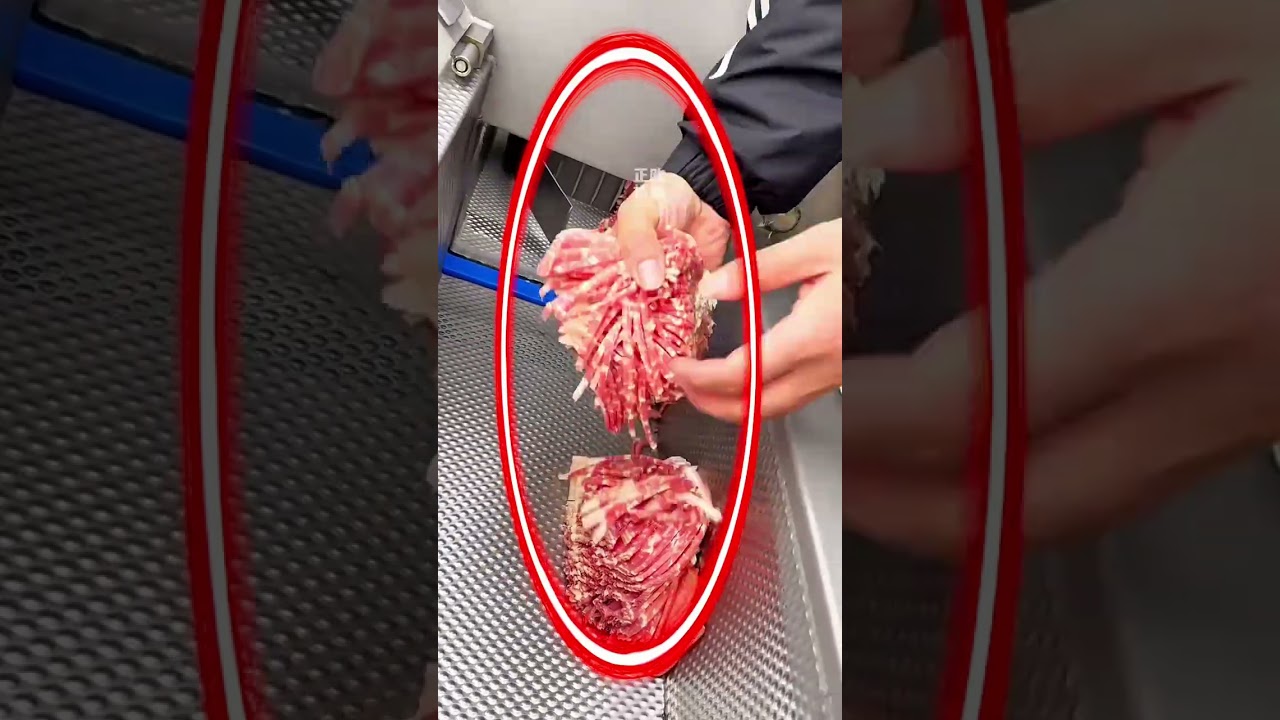 Fresh Meat Slicer" "Slicer" "Food Machinery