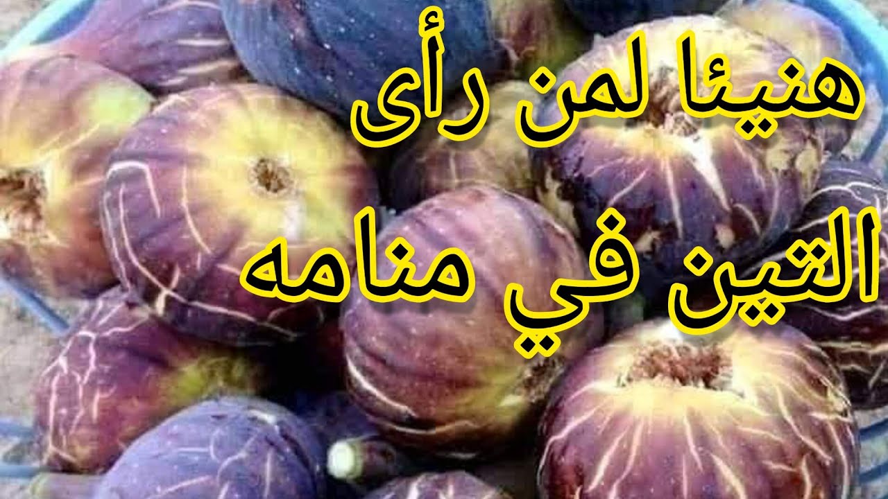 تفسير حلم رؤية التين في المنام /ستندهش من حلم التين /المرأة المتزوجة العزباء الحامل الرجل
