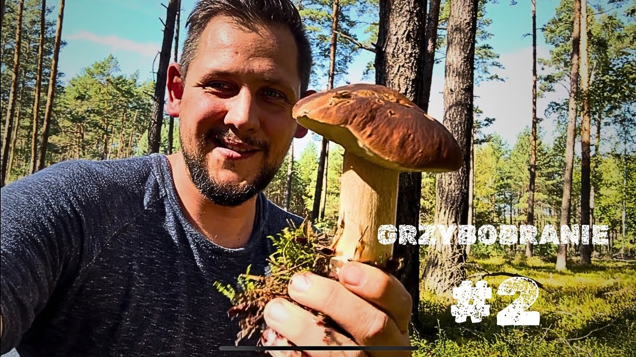 Grzybobranie 2025 #2 | W samo południe, w pełnym słońcu ☀️🍄