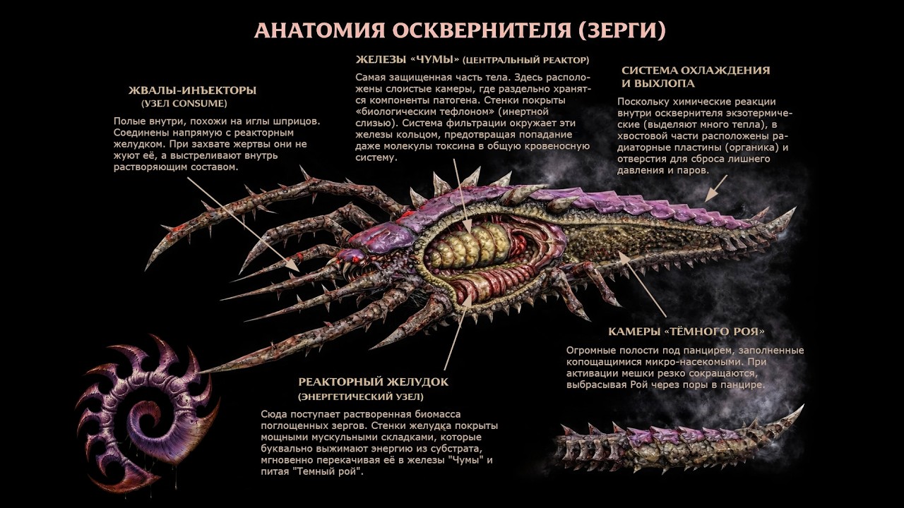 [Хроники StarCraft] ОСКВЕРНИТЕЛЬ (Defiler) | Анатомия, способности, подвиды, стратегическая роль