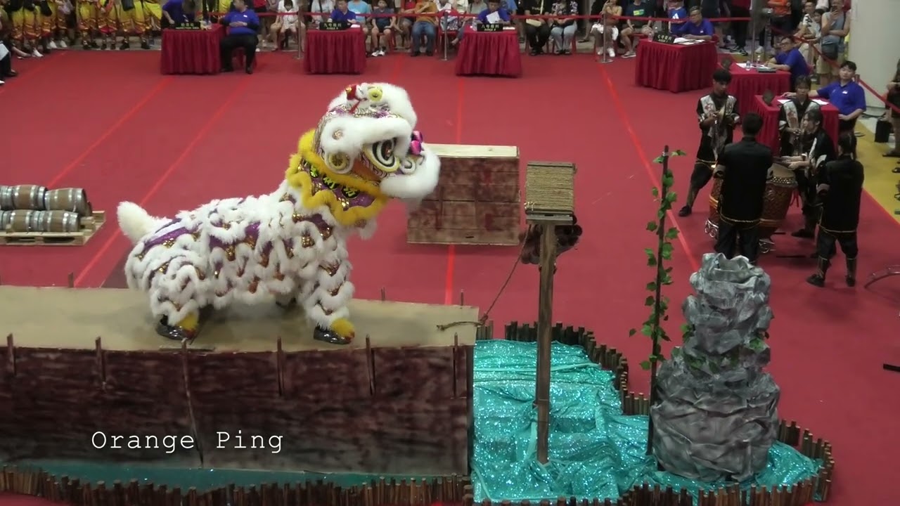 福星泓龍獅藝術坊B队 Fu Xing Hong Dragon & Lion Dance Centre Team B