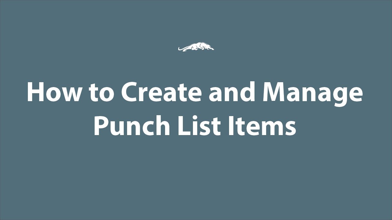Punch Lists Tutorial Video
