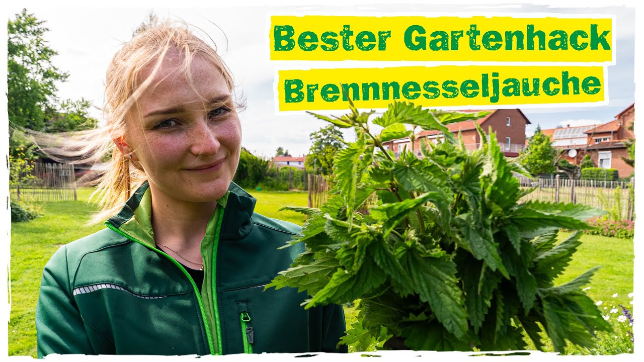 Pflanzenjauche ansetzen: Schritt-für-Schritt erklärt 🌿