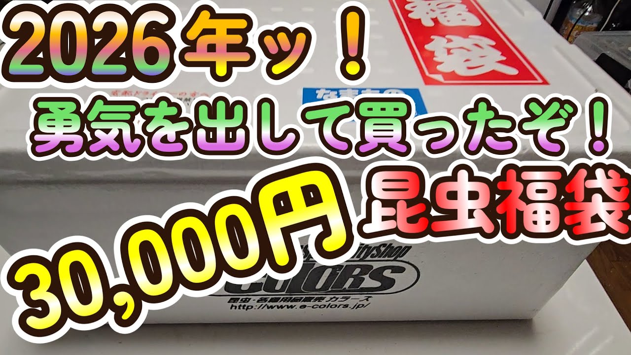 2026年ッ！！勇気を出して買ったぞ！3万円の昆虫福袋を！！！
