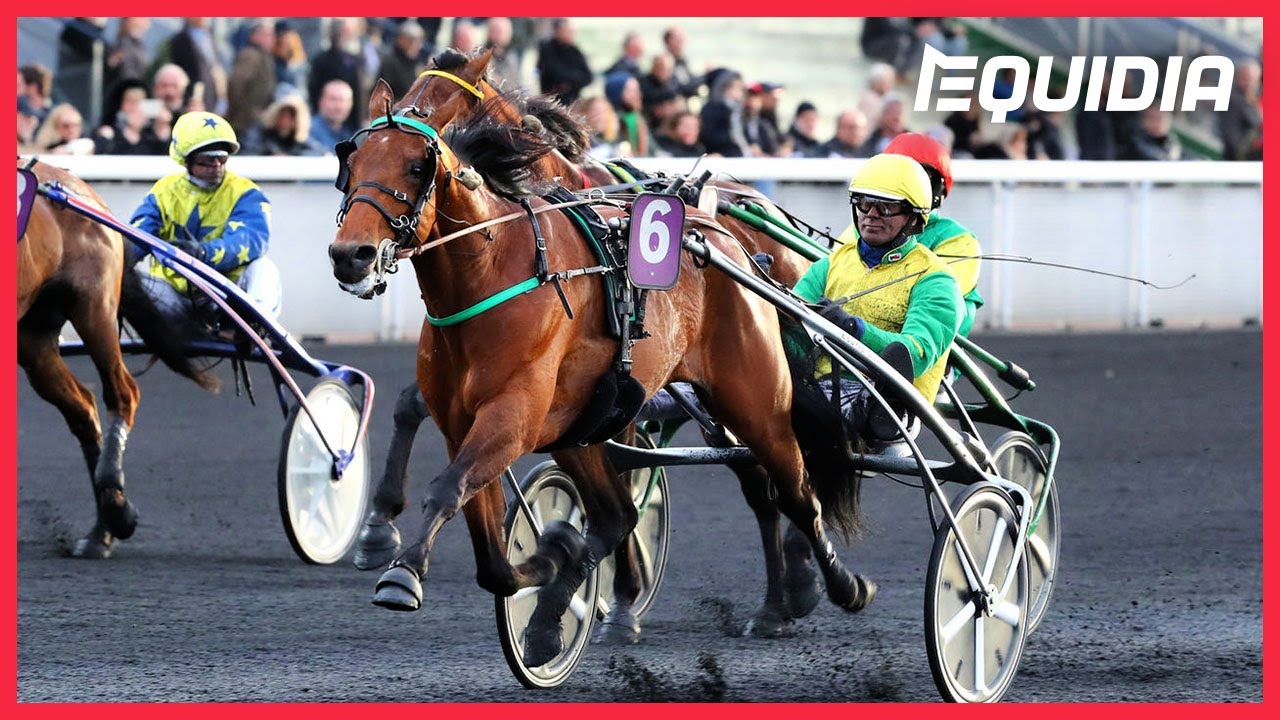 PRIX DE SÉLECTION 2019 : FACE TIME BOURBON IMPRESSIONNE !