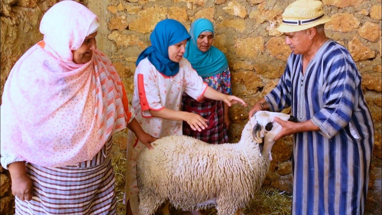 عنداك إشمتوك ! كيف تشتري خروف العيد ( الحولي)