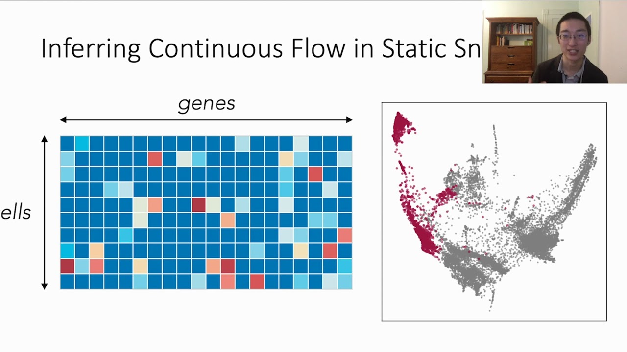 TrajectoryNet: A Dynamic Optimal Transport Network for Modeling Cellular Dynamics