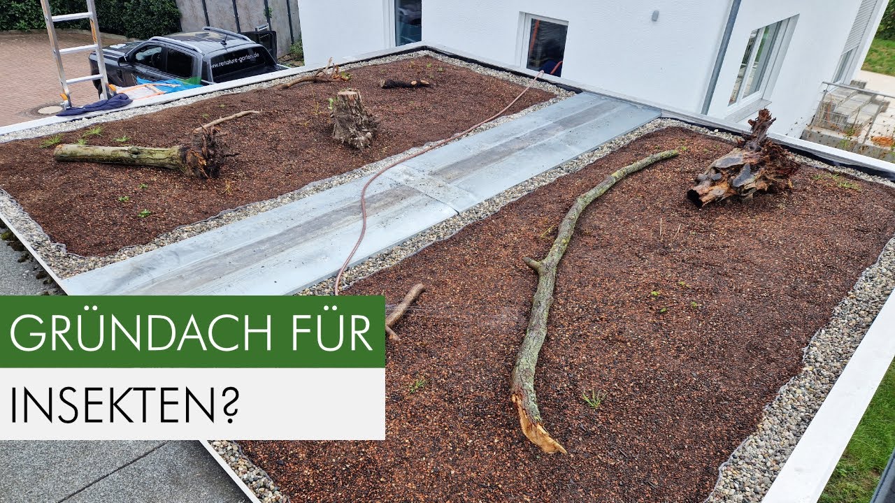 So baust du ein naturnahes Gründach - Die ultimative Anleitung!