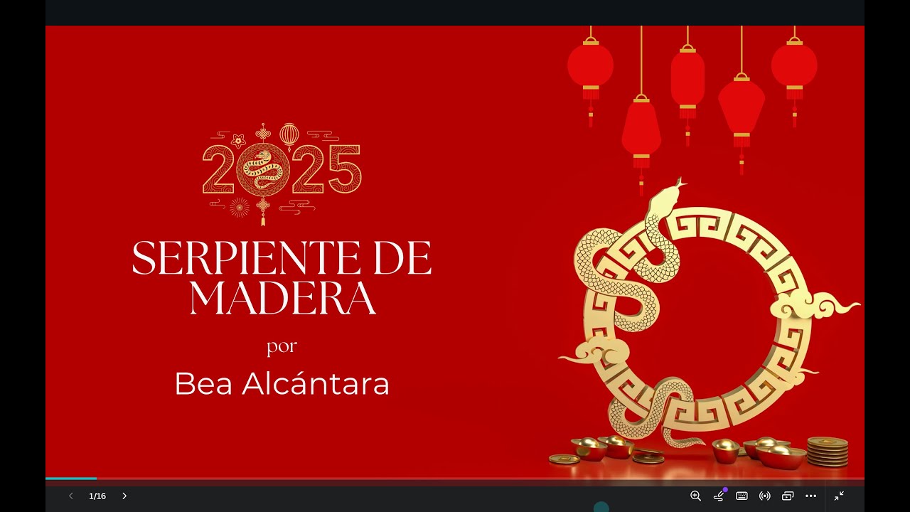 Serpiente de Madera 2025 - Estrellas Voladoras